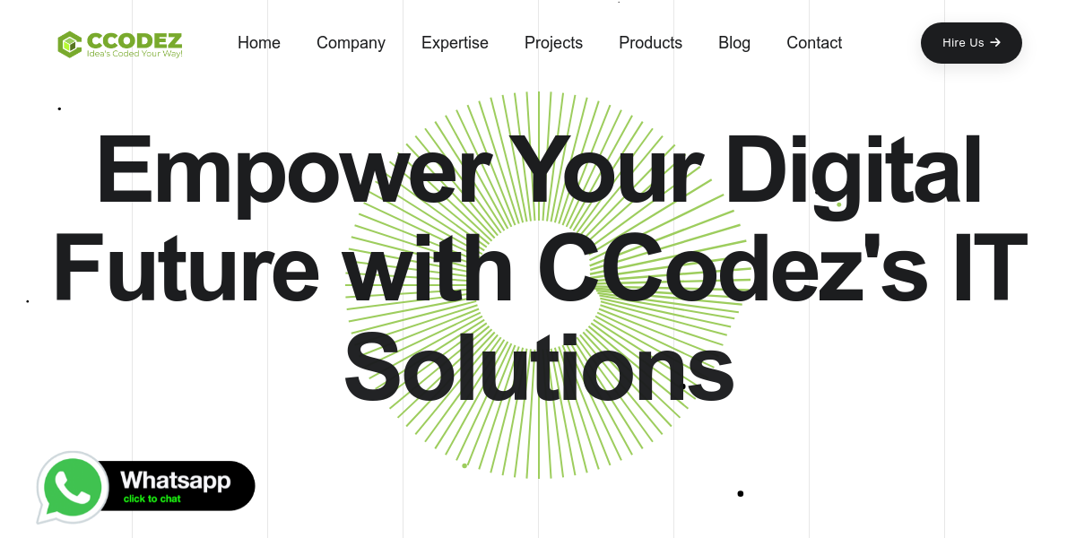 CCODEZ | Software Company Software House