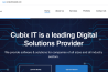 Cubix IT Software House