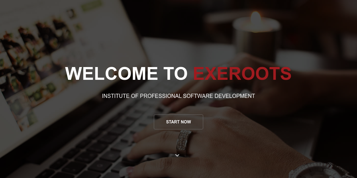 EXEROOTS Software House