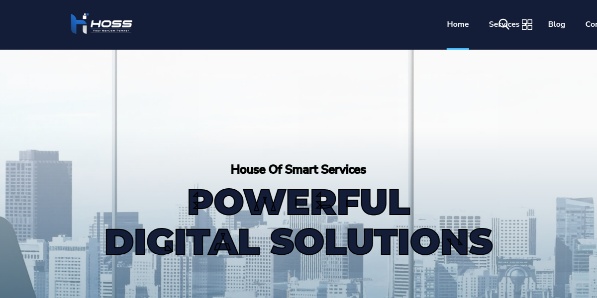 House of Smart Services Software House